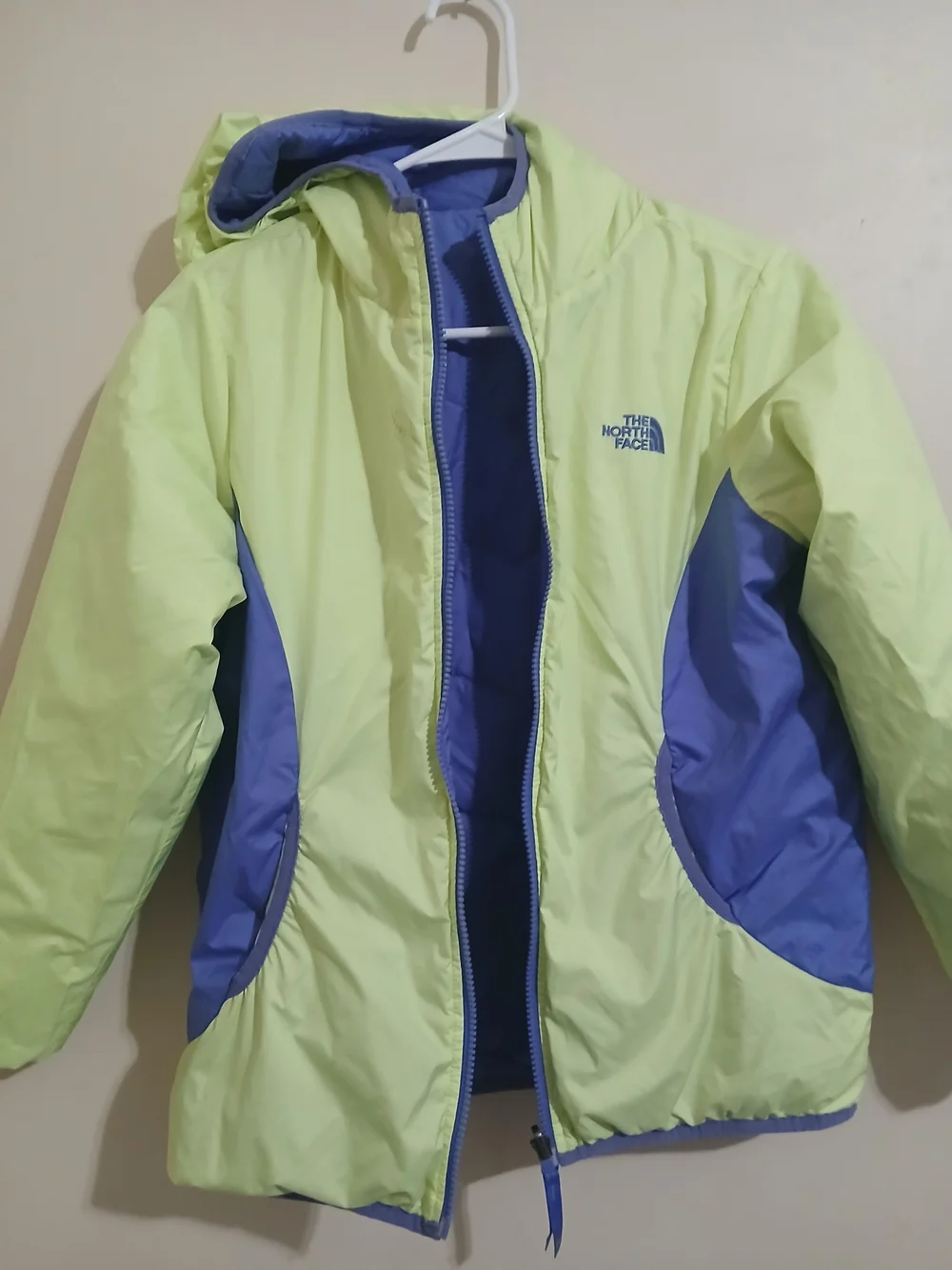 The North Face Kids' Blue Insulated Hooded Jacket